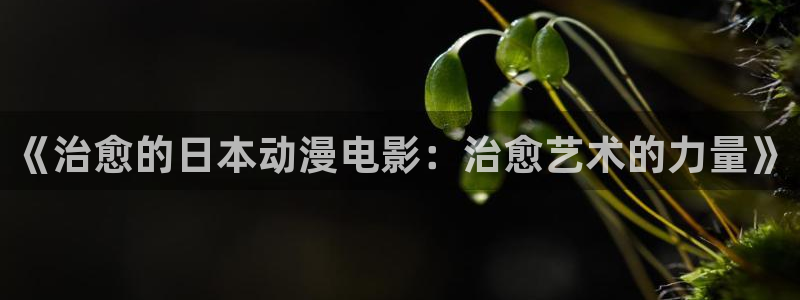 哈哩哈哩hilihili：《治愈的日本动漫电影：治愈艺术的力量》