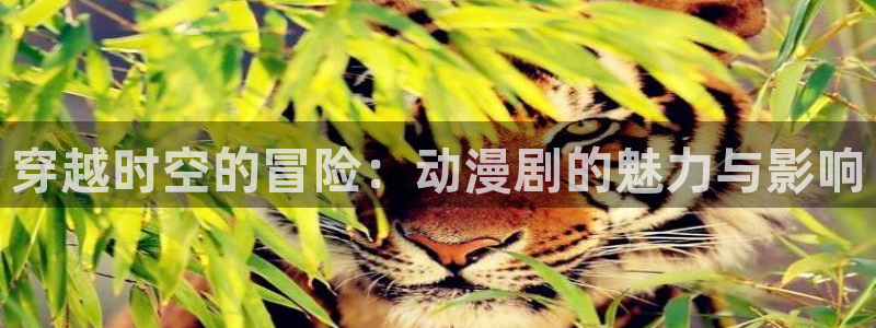 哈哩哈哩动漫app：穿越时空的冒险：动漫剧的魅力与影响
